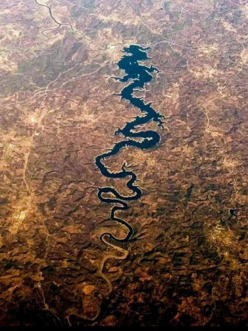 龍脈圖片高清版 龍脈圖片高清版 龍魚百科 第3張