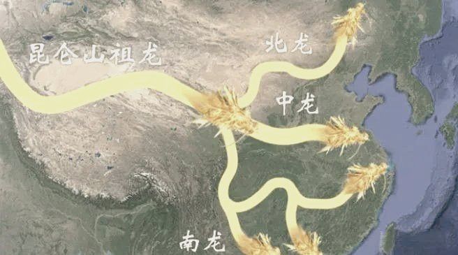 龍脈圖片高清版 龍脈圖片高清版 龍魚百科 第25張