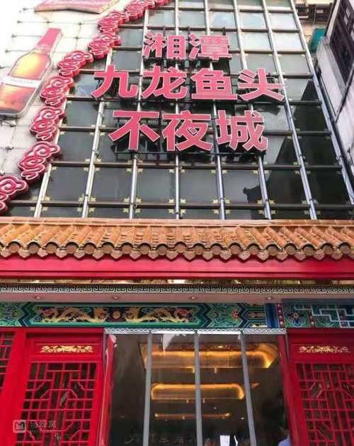 九龍魚頭天心閣店 龍魚百科 第3張 九龍魚頭天心閣店 九龍魚頭天心閣店 龍魚百科 第3張