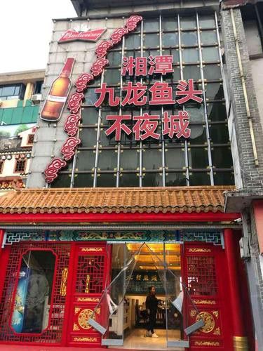 九龍魚頭天心閣店 龍魚百科 第1張 九龍魚頭天心閣店 九龍魚頭天心閣店 龍魚百科 第1張