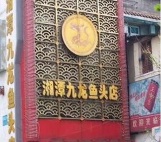 九龍魚頭天心閣店 龍魚百科 第2張 九龍魚頭天心閣店 九龍魚頭天心閣店 龍魚百科 第2張