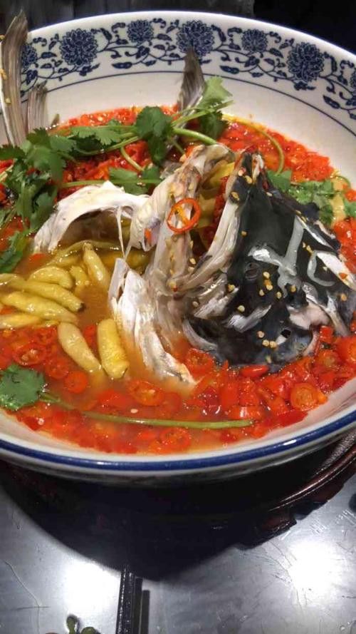 九龍魚頭天心閣店 龍魚百科 第6張 九龍魚頭天心閣店 九龍魚頭天心閣店 龍魚百科 第6張