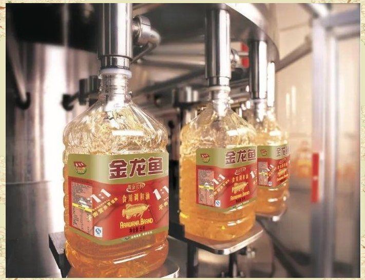 金龍魚老板祖籍哪里的 金龍魚老板祖籍哪里的 龍魚百科 第10張