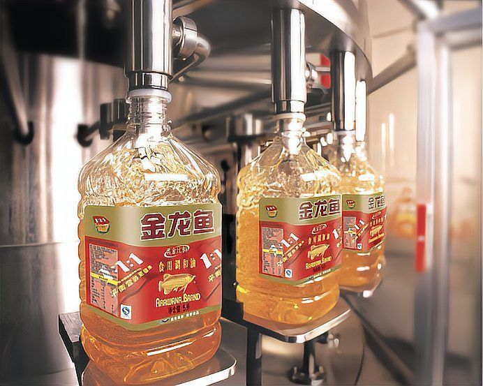 金龍魚老板祖籍哪里的 金龍魚老板祖籍哪里的 龍魚百科 第14張