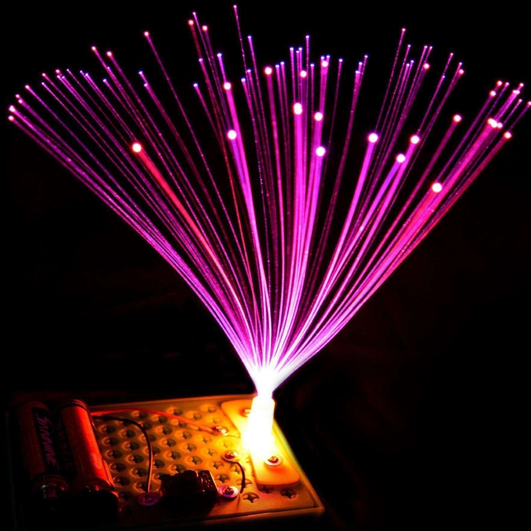 金龍魚老板祖籍哪里的 金龍魚老板祖籍哪里的 龍魚百科 第15張