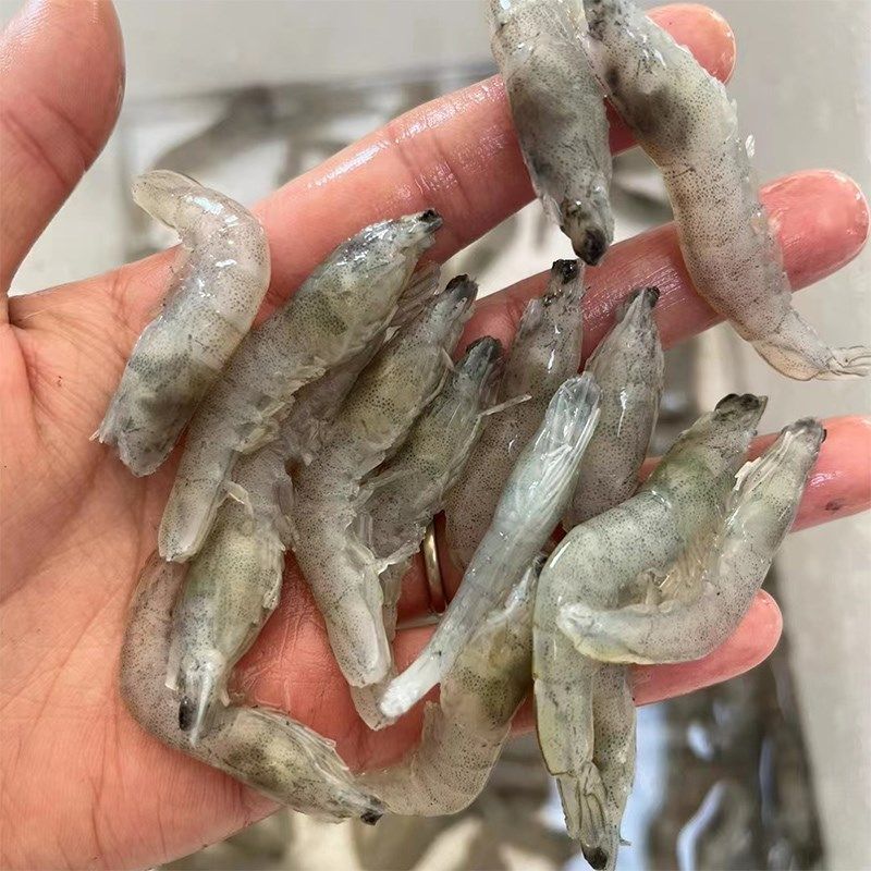 龍魚魚食制作方法:制作龍魚魚食的流程 龍魚百科 第5張 龍魚魚食制作方法:制作龍魚魚食的流程 龍魚魚食制作方法:制作龍魚魚食的流程 龍魚百科 第5張