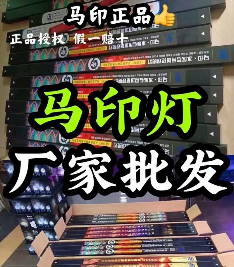 金龍魚用金色的燈好嗎圖片大全 金龍魚用金色的燈好嗎圖片大全 龍魚百科 第33張
