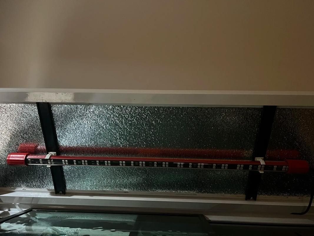 金龍魚用金色的燈好嗎圖片大全 金龍魚用金色的燈好嗎圖片大全 龍魚百科 第34張