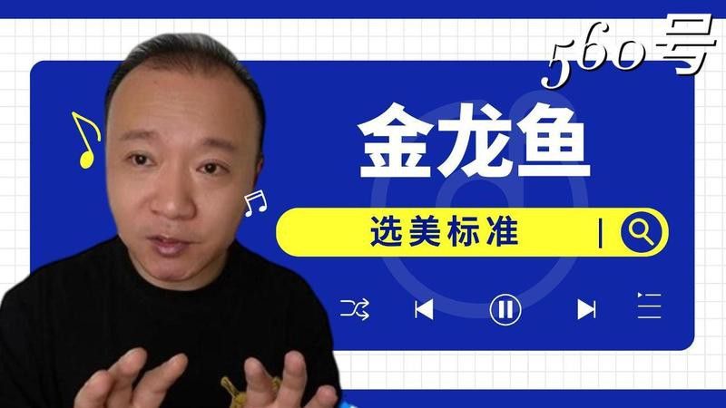 金龍魚怎么比賽 金龍魚怎么比賽 龍魚百科 第2張