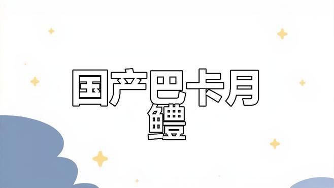 廣東雷龍魚是什么品種