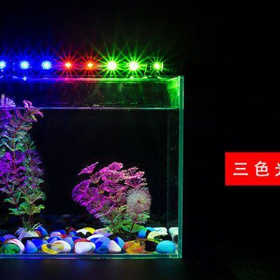 龍魚缸燈放在什么位置好：龍魚缸燈放在什么位置好龍魚缸燈放在什么位置好