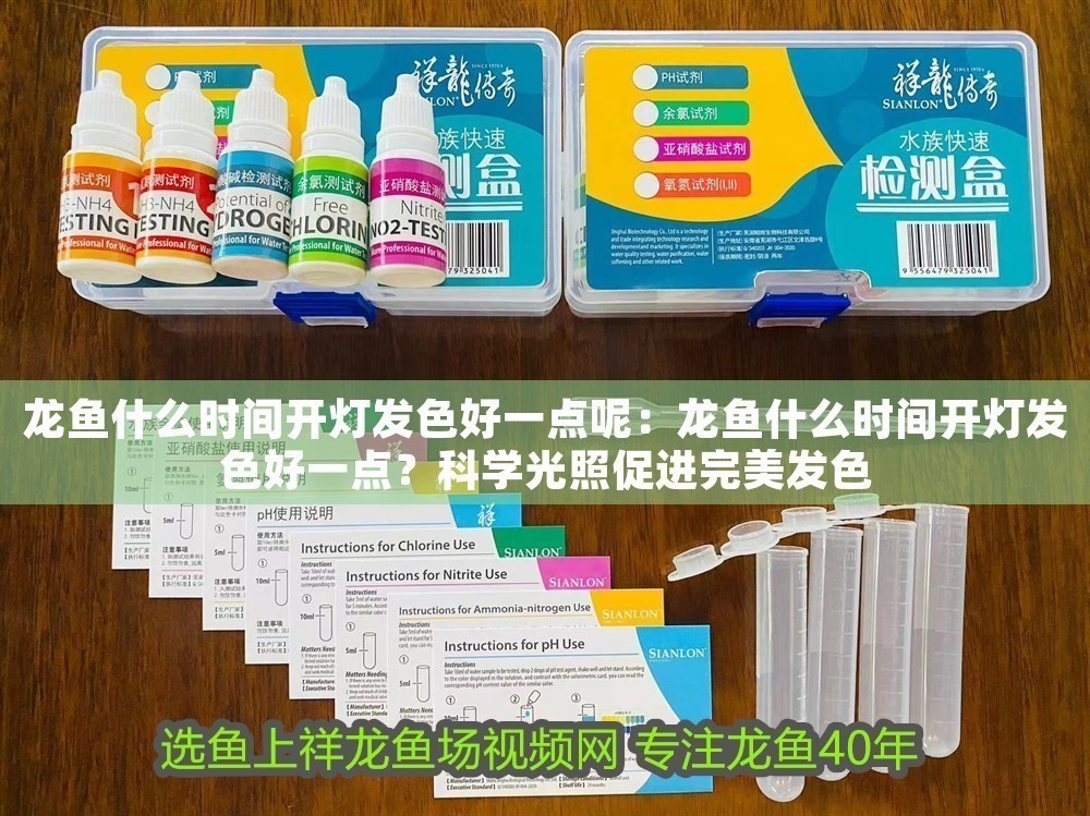 龍魚什么時間開燈發色好一點呢：龍魚什么時間開燈發色好一點？科學光照促進完美發色