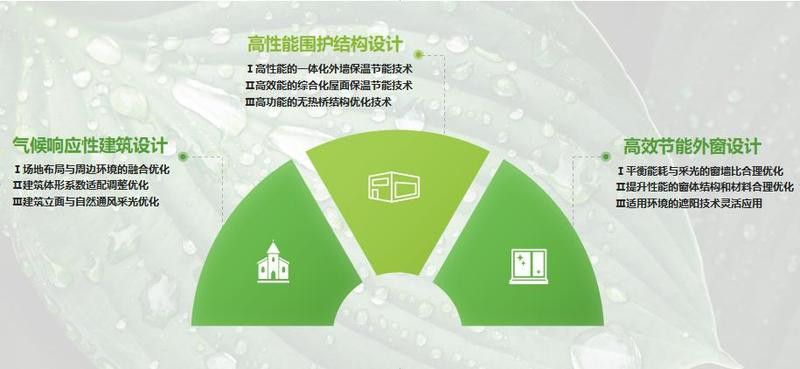 八龍理論在現代設計中的應用 八龍理論在現代設計中的應用 龍魚百科 第2張