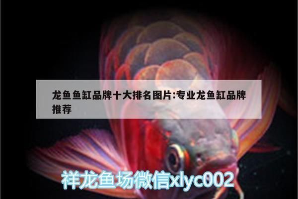 龍魚魚缸品牌十大排名最新圖片：龍魚魚缸品牌排行榜