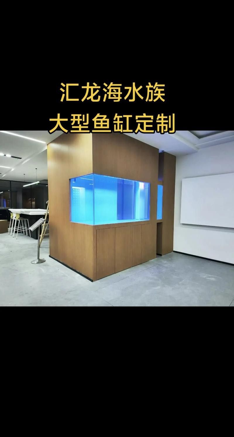 龍魚之家魚缸圖片大全
