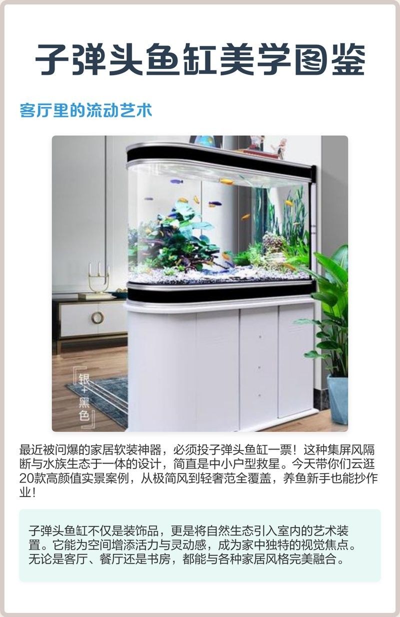 龍魚之家魚缸圖片大全