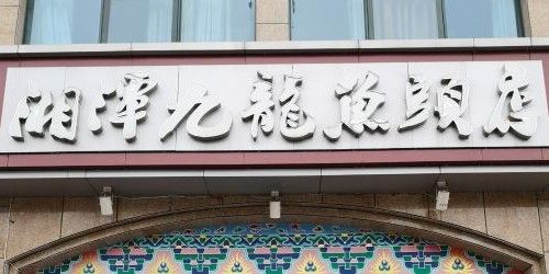 湘潭九龍魚頭賣蛇的店在哪里 湘潭九龍魚頭賣蛇的店在哪里 龍魚百科 第1張