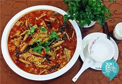湘潭九龍魚頭賣蛇的店在哪里 湘潭九龍魚頭賣蛇的店在哪里 龍魚百科 第4張