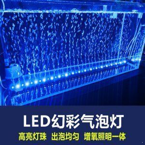 龍魚燈較好的品牌推薦（馬印神燈專注于生產龍魚燈專注于生產龍魚燈產品種類豐富） 龍魚燈較好的品牌推薦（馬印神燈專注于生產龍魚燈專注于生產龍魚燈產品種類豐富） 龍魚百科 第5張