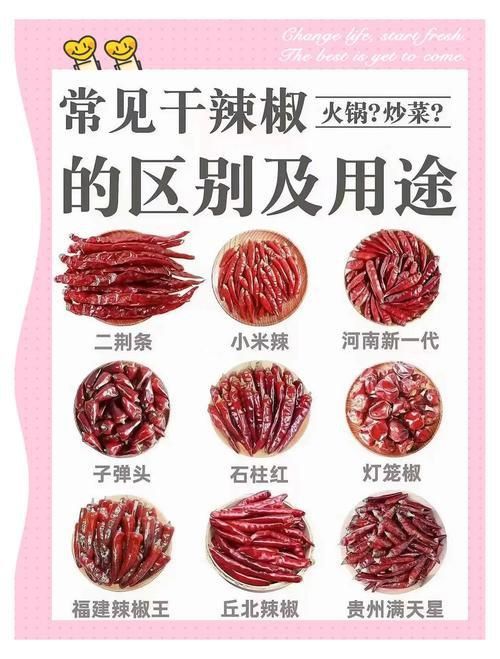 辣椒種類圖片