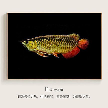 金龍魚不吃食物能活幾天：金龍魚的存活時間受到多種因素影響 金龍魚不吃食物能活幾天：金龍魚的存活時間受到多種因素影響 龍魚百科 第1張