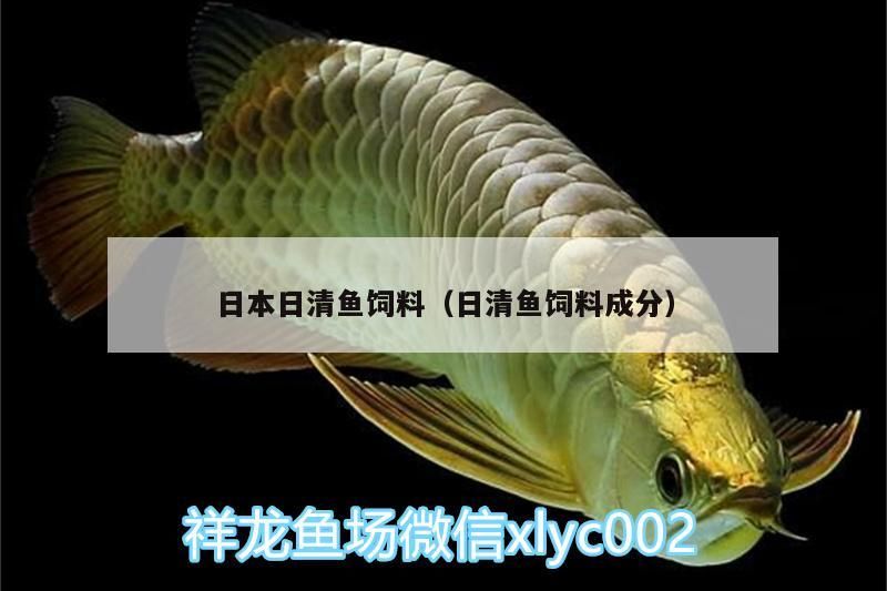 日本日清魚飼料(日清魚飼料成分) 龍魚百科 第3張 日本日清魚飼料(日清魚飼料成分) 日本日清魚飼料(日清魚飼料成分) 龍魚百科 第3張