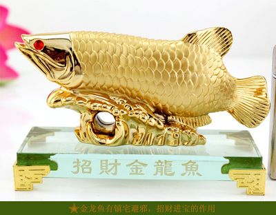 紅龍魚高清視頻在線觀看網(wǎng)站大全免費（紅龍魚高清視頻在線觀看網(wǎng)站大全免費下載）