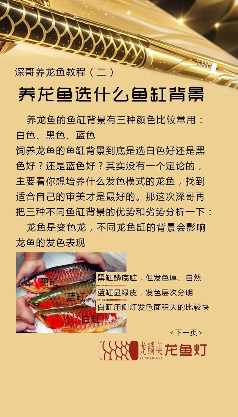 更換龍魚背景時需要注意什么？