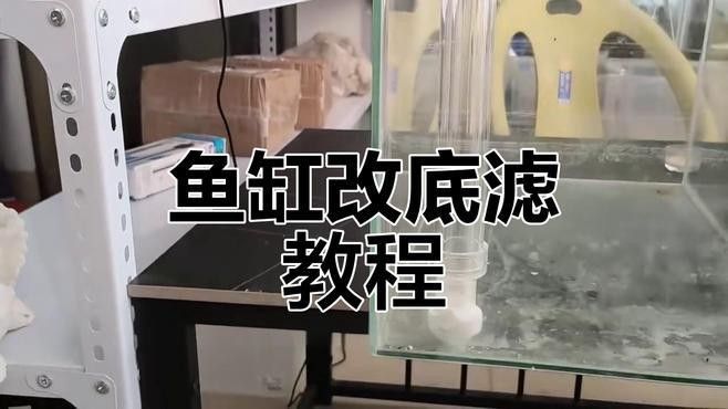 閩江龍魚缸供水與排污分開溢流