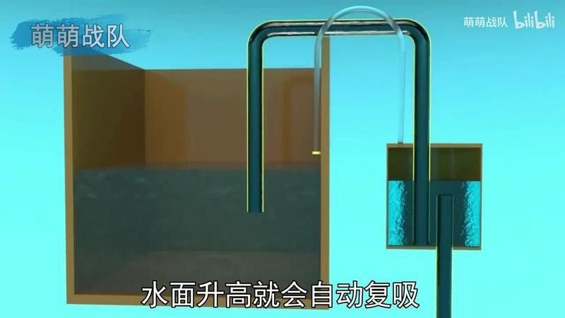 閩江龍魚缸供水與排污分開溢流