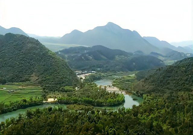 金鉆魚 金鉆魚 龍魚百科 第11張