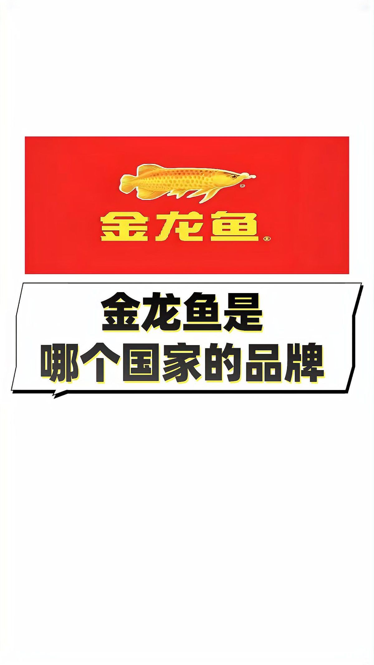 金龍魚是外國公司嗎 金龍魚是外國公司嗎 龍魚百科 第4張
