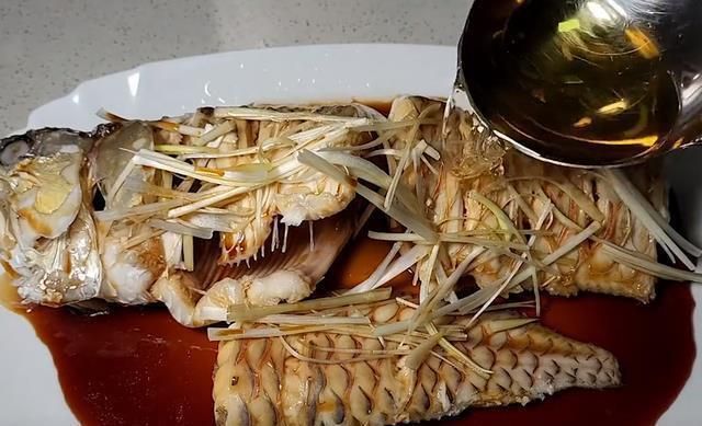 龍魚死亡照片，導致龍魚死亡的原因