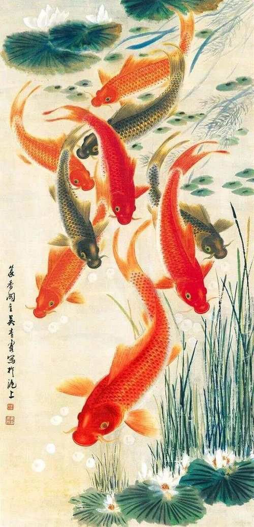 九龍魚(yú)國(guó)畫(huà) 九龍魚(yú)國(guó)畫(huà) 龍魚(yú)百科 第16張