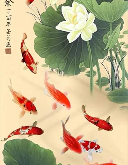 九龍魚(yú)國(guó)畫(huà) 九龍魚(yú)國(guó)畫(huà) 龍魚(yú)百科 第27張