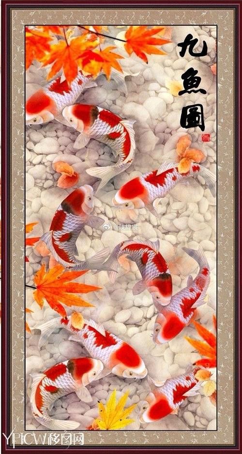 九龍魚(yú)國(guó)畫(huà) 九龍魚(yú)國(guó)畫(huà) 龍魚(yú)百科 第42張