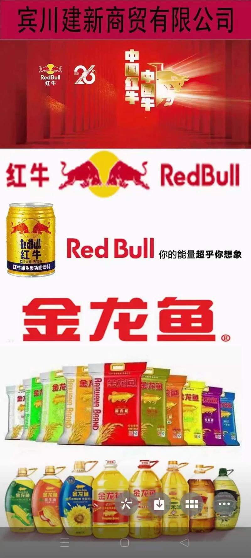金龍魚吉祥物小牛圖片大全