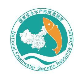 金龍魚學名叫什么名字 龍魚百科 第13張 金龍魚學名叫什么名字 金龍魚學名叫什么名字 龍魚百科 第13張