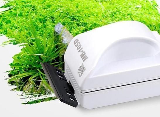 魚缸不用換水怎么辦（如何建立魚缸硝化系統？）