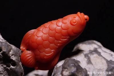 金龍魚標志含義是什么呢（金龍魚標志的含義）