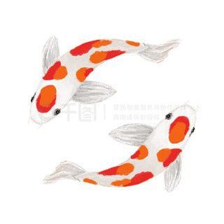 紅龍魚品牌有哪些產品名稱及圖片大全介紹