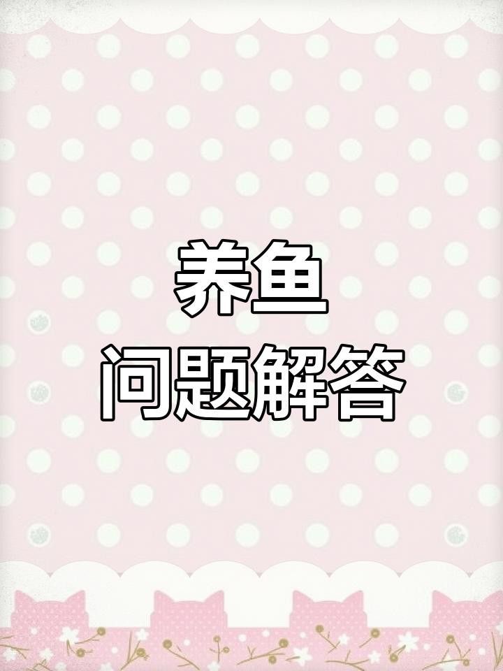 如何判斷紅龍魚拒食的原因？