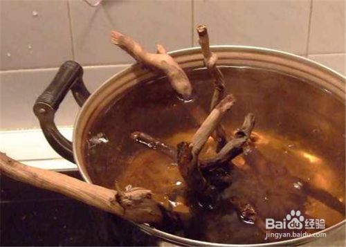 金龍魚小魚苗怎么養活：金龍魚小魚苗怎么養，從選購到飼養的全面指南 金龍魚小魚苗怎么養活：金龍魚小魚苗怎么養，從選購到飼養的全面指南 龍魚百科 第2張