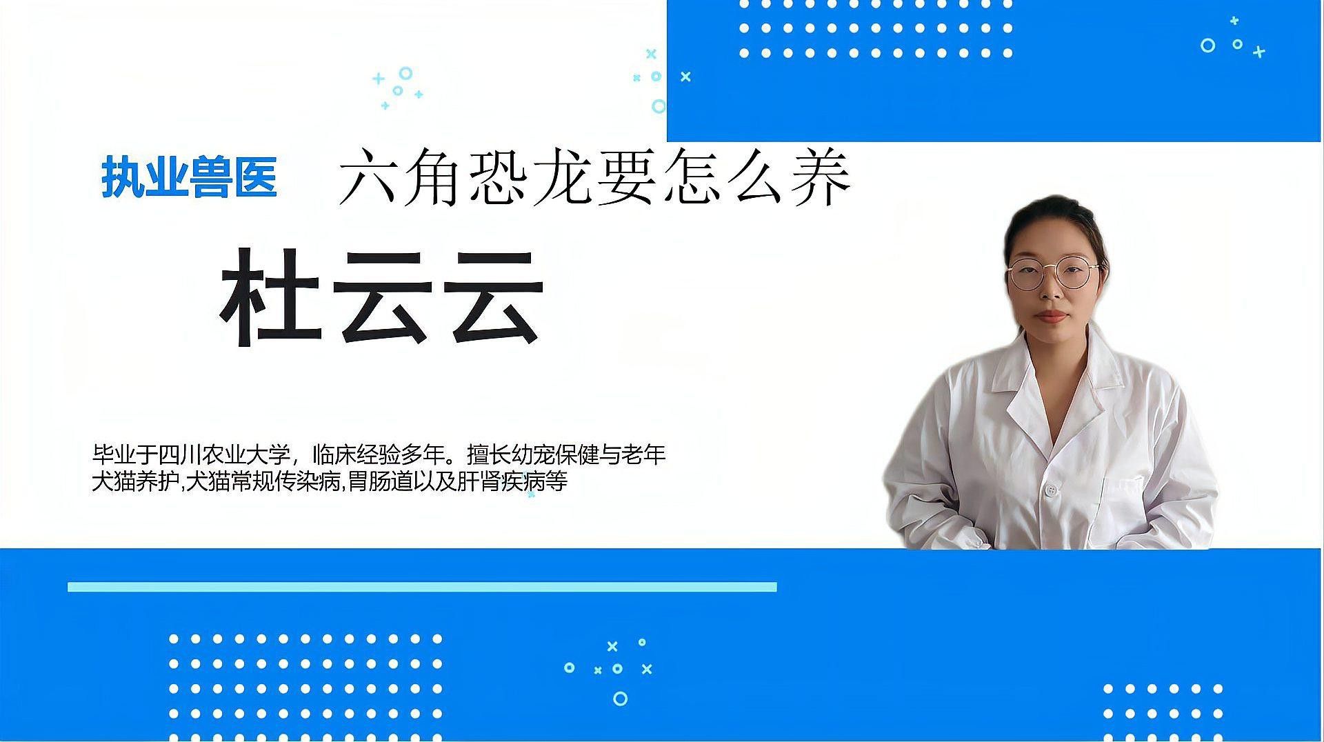 六角龍魚好不好養？