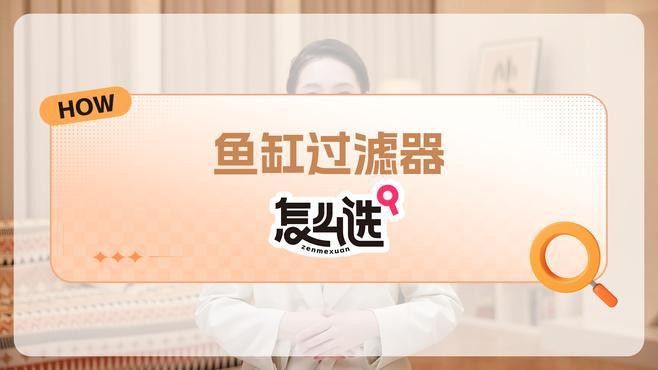 如何選擇適合金龍魚的過濾器？