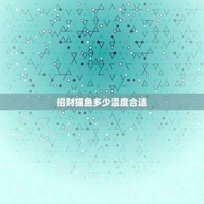 龍魚和招財貓魚水溫多少度合適（龍魚和招財貓魚冬季養護技巧，龍魚和招財貓魚的適宜水溫信息）