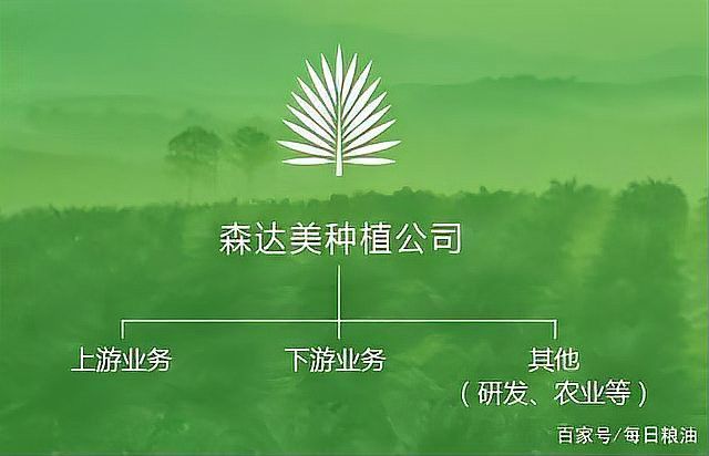 未來金龍魚和中糧會有哪些新的合作項目？