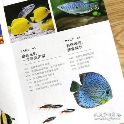 狗頭魚疾病預防方法，狗頭魚疾病預防方法包括定期檢查水質保持適宜的水溫和ph值