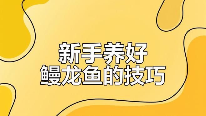 曼龍魚需要什么水質(zhì)養(yǎng)