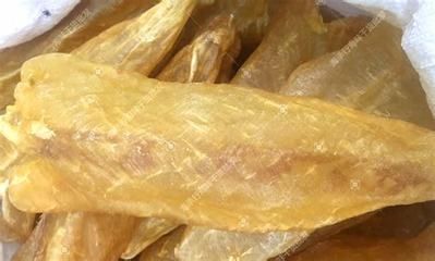 金龍魚膠有什么功效與作用:金龍魚膠對人體有益的功效與作用金龍魚膠的作用與作用 龍魚百科 第1張 金龍魚膠有什么功效與作用:金龍魚膠對人體有益的功效與作用金龍魚膠的作用與作用 金龍魚膠有什么功效與作用:金龍魚膠對人體有益的功效與作用金龍魚膠的作用與作用 龍魚百科 第1張